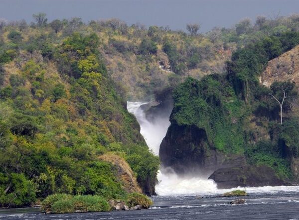 3 Days Murchison Falls Wildlife Safari in Uganda