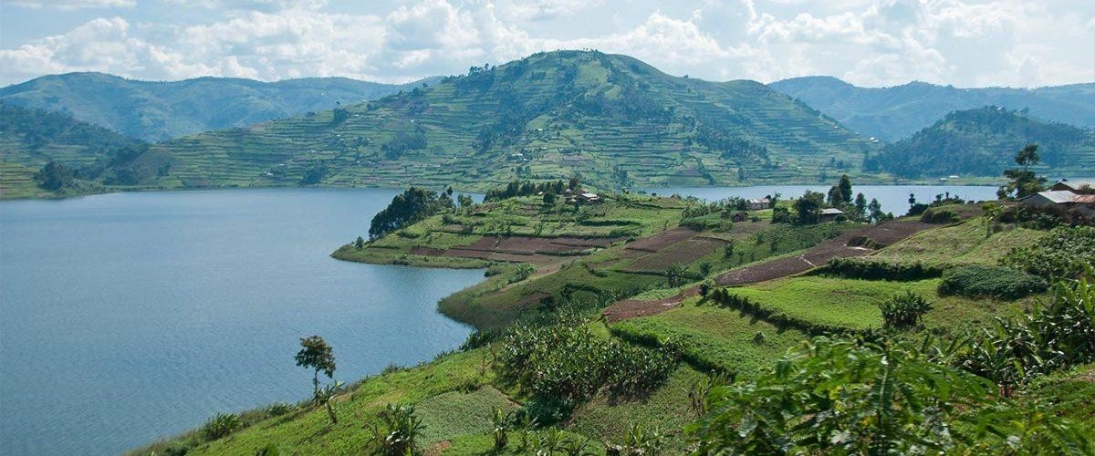 7 Day Uganda Luxury Primate & Wildlife Safari